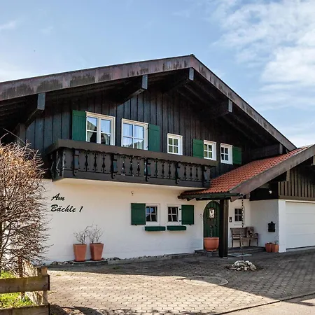 Braun 1