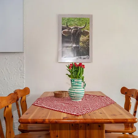 Apartman Braun 1