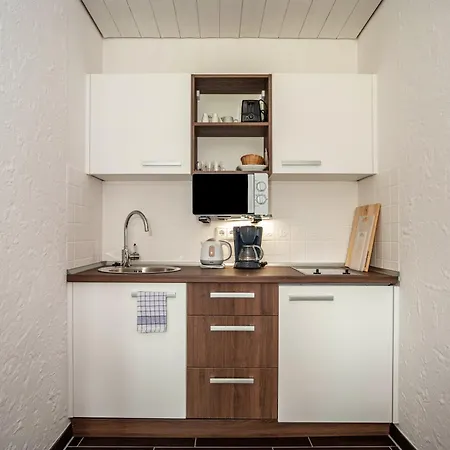 Braun 1